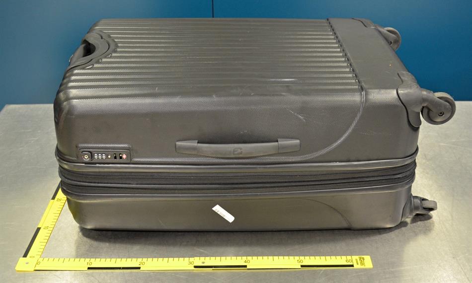 2019-1-29-729foto 1.JPG